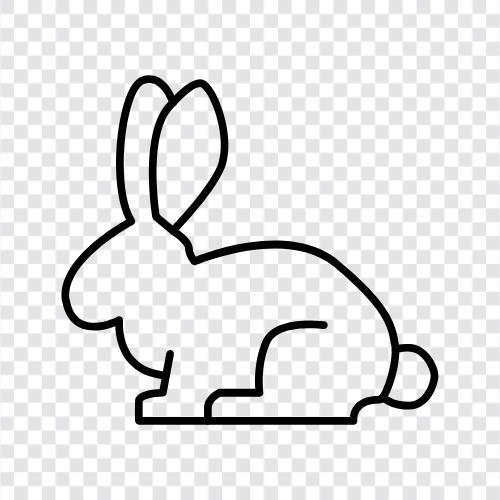 bunny, pet, petting, house icon svg