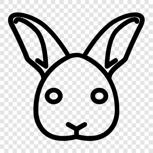 bunny, pet, household, farm icon svg