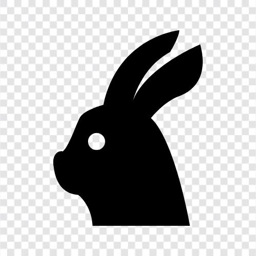 Hase, weißes Kaninchen, schwarzes Kaninchen, Baumwollschwanz symbol