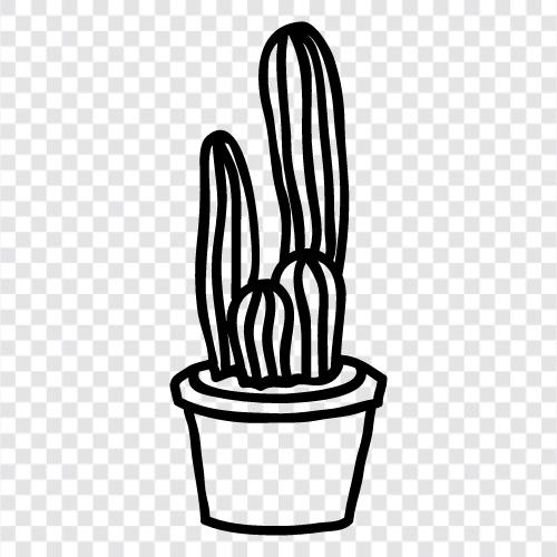 cacti, succulent, desert, Arizona icon svg