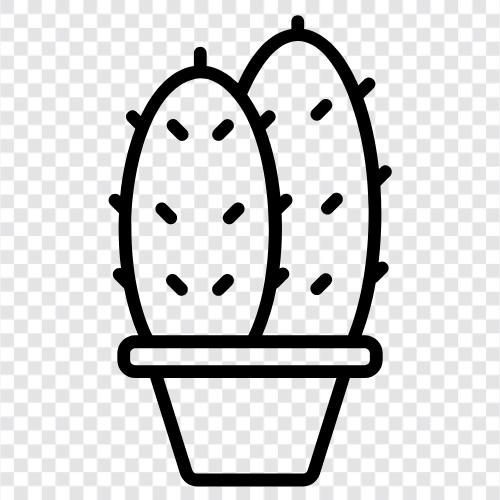 cacti, succulent, prickly, spines icon svg