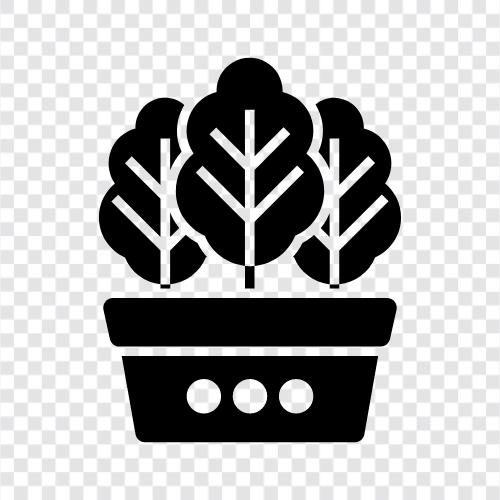 Kaktus, saftig, saftiger Garten, Hauspflanze symbol