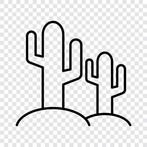 cactus plants, cactus care, cactus plants for sale, Cactus icon svg