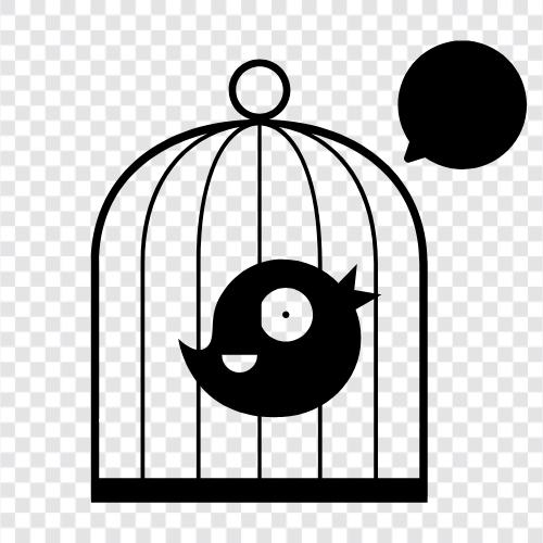 Cage, Build Your Own, Bird Cage Plans, Bird Cage icon svg