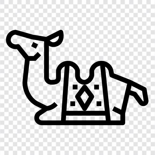 camelid, dromedary, camel süt, camel saç ikon svg