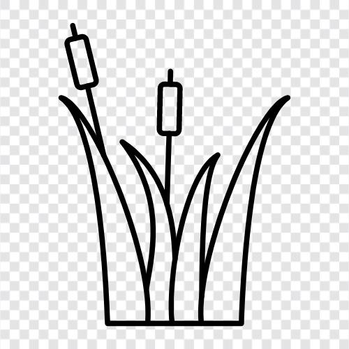 cane, flute, piccolo, recorder icon svg