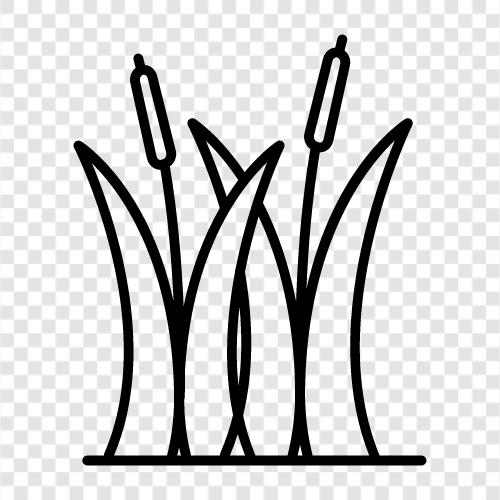 cane, flute, panpipes, reed icon svg