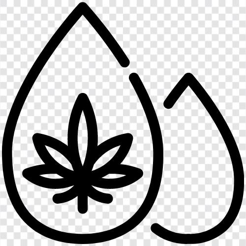 cannabidiol oil, cannabidiol extract, cannabid, cannabidiol drop icon svg