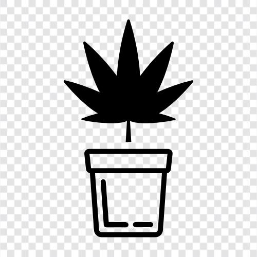 Cannabis, Unkraut, Hydroponie, Boden symbol