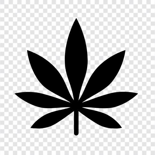 Cannabis, Marihuana, Kraut, Knospe symbol