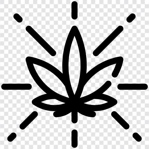 cannabis, weed, pot, buds icon svg