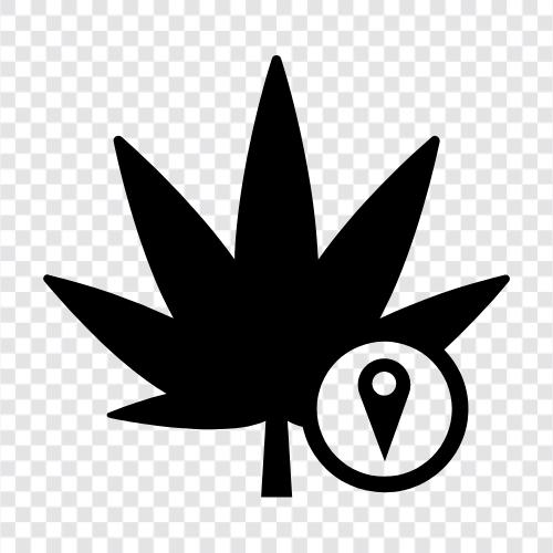 esrar dispanseri, marijuana dispanseri, tıbbi marihuana dispanseri, ot dispanseri ikon svg