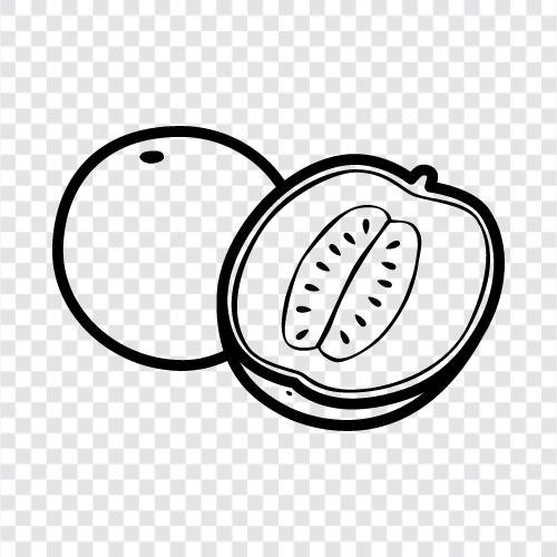 cantaloupe, melon, fruit, sweet icon svg