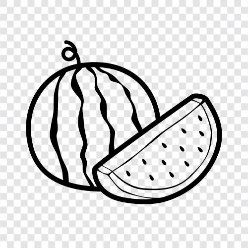 cantalupe, ballıdew, tohumsuz, tatlı ikon svg