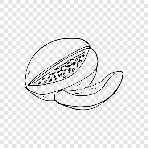 Cantaloupe, Honigtau, Wassermelone, Melonen symbol