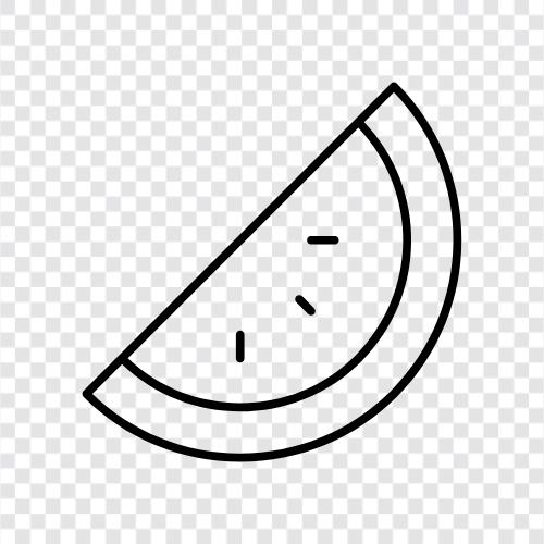 Cantaloupe, Honigtau, Wassermelone, Melonen symbol
