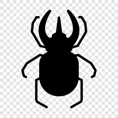 car, bug, driving, flying icon svg