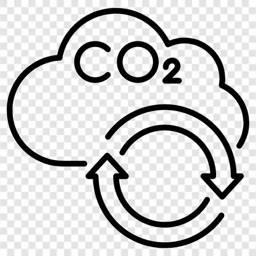 karbondioksit, fotosentez, solunum, biyosfer ikon svg
