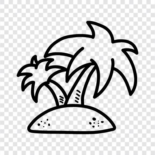 Caribbean, travel, sun, sand icon svg