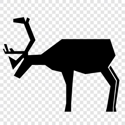 caribou avcılığı, caribou göçü, caribou habitatı, caribou ikon svg