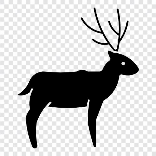 caribou göçü, caribou habitatı, caribou göç yolu, caribou ikon svg