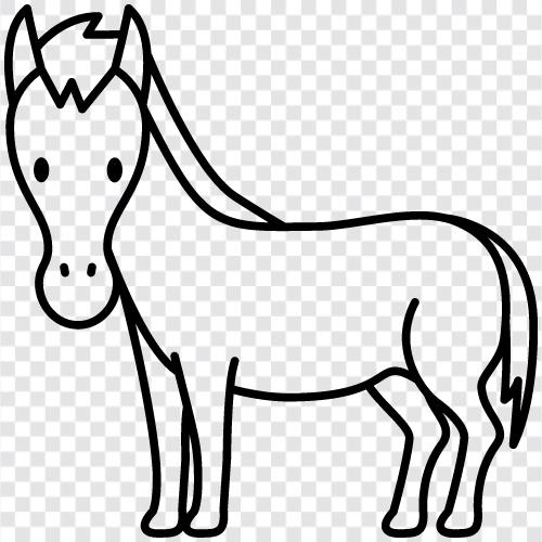 carriage, horseback riding, racehorse, pony icon svg