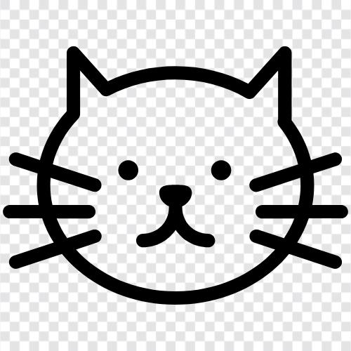 cat pictures, pictures of cats, funny cat pictures, cute cat pictures icon svg