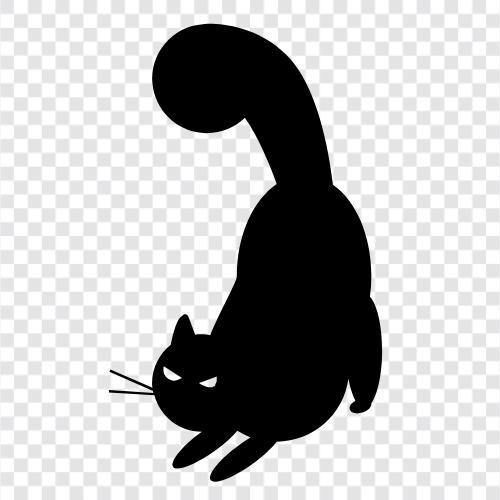 Cat stretching, cat stretching videos, cat stretching exercises, cat stretching tips icon svg