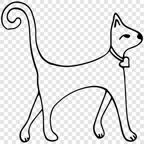 Katzen, Hauskatze, Muschi, Kätzchen symbol