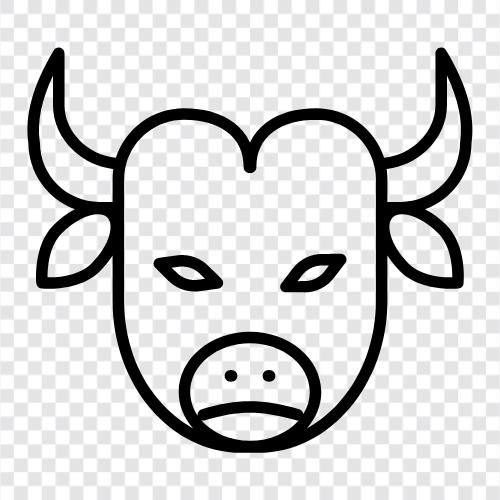 cattle, bullfighting, cattle rustling, beef icon svg