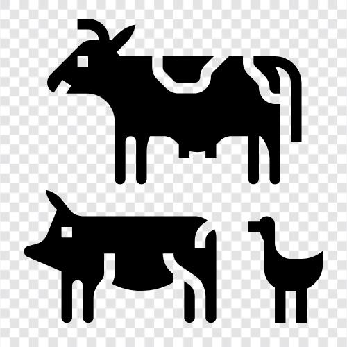 cattle, beef, pork, chicken icon svg