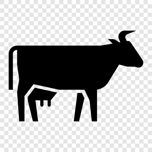 cattle, beef, milk, cheese icon svg