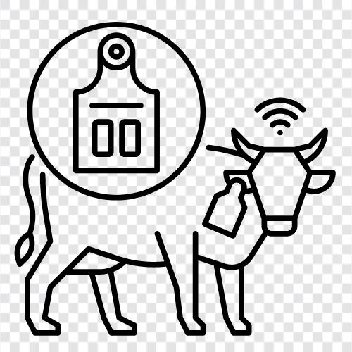 Rinder, Schafe, Schweine, Huhn symbol