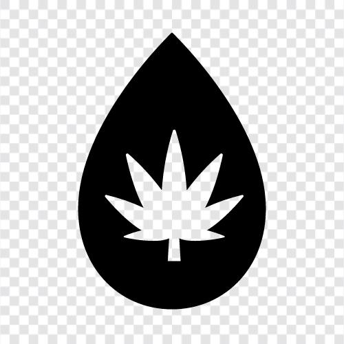 cbd oil drops, cbd vape drops, cbd oil vape, cbd drops icon svg