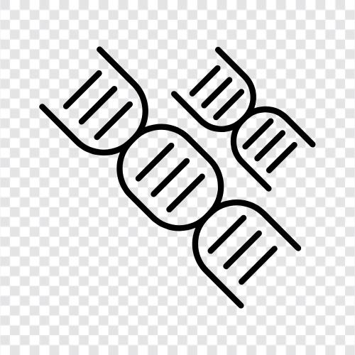 cells, genes, chromosomes, DNA icon svg