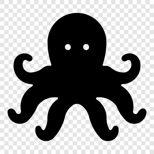 sefalopod, oktopus, sefalopod davranışı, mavi halka ahtapot ikon svg