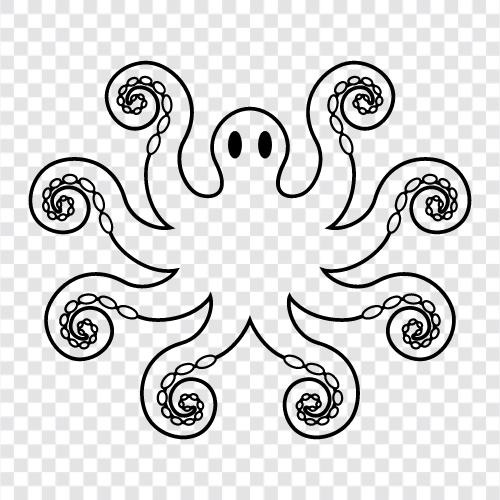 cephalopods, mollusks, invertebrates, Octopus icon svg