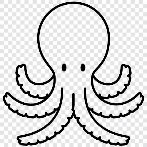 Cephalopods, tentacles, ink, istihbarat ikon svg