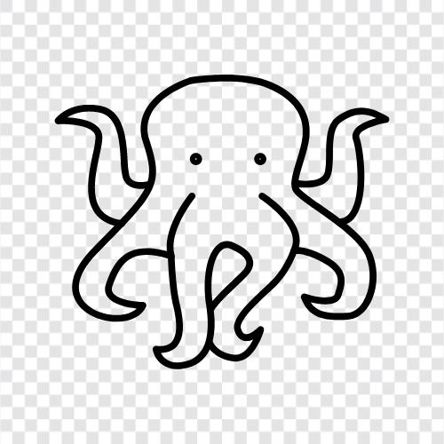 cephalopods, ink, color, camouflage icon svg