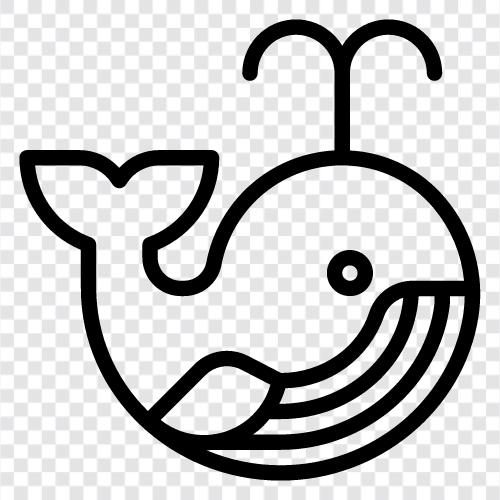 Wale, Meeressäugetiere, Meer, Meeresküste symbol