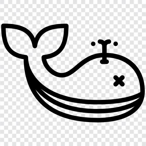 Cetacean ikon