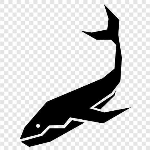 cetacean, sea, marine, aquatic icon svg