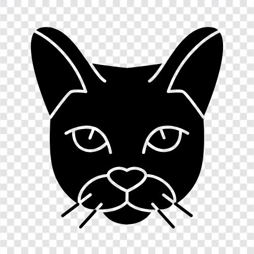 chausie puppies, chausie dog, chausie dog for, chausie icon svg