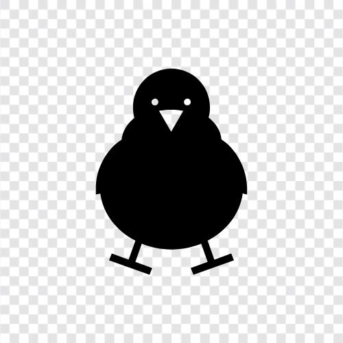 chick magnet, chick flick, chick magnetism, chick magnetism theory icon svg