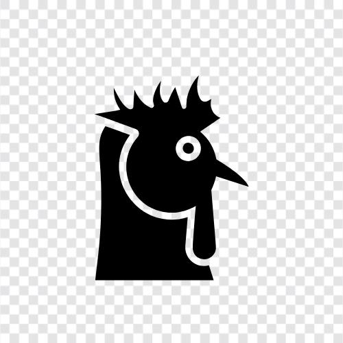 chicken, farm, pet, breed icon svg