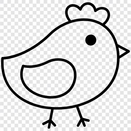 chicken, fowl, domesticated bird, chick icon svg