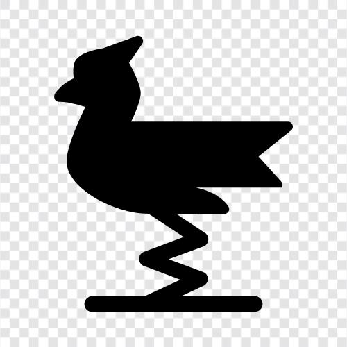 Hähnchen, Landwirtschaft, Eier, Geflügel symbol