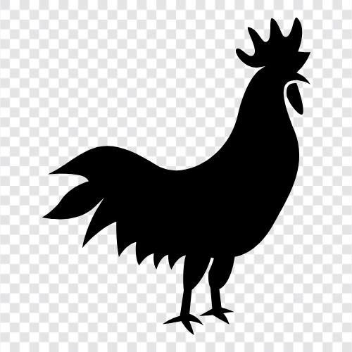 Chicken, Egg, Hen, Rooster Cage icon svg