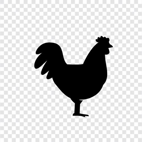 Huhn Rezepte, Hühnerbrust, Hühnerbeine, Hähnchen Oberschenkel symbol