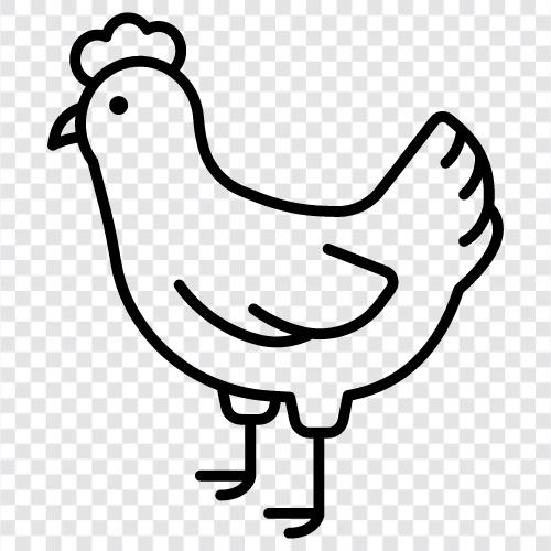 chickenpox, cooking chicken, cooking techniques, frying chicken icon svg